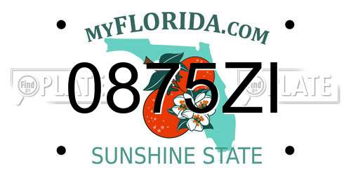 0875ZI Florida License Plate