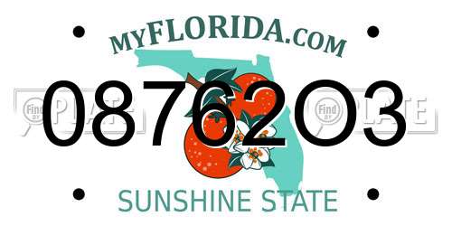 08762O3 Florida License Plate