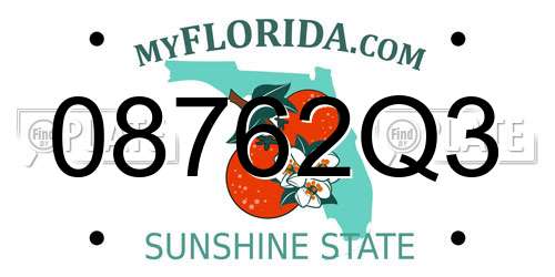 08762Q3 Florida License Plate