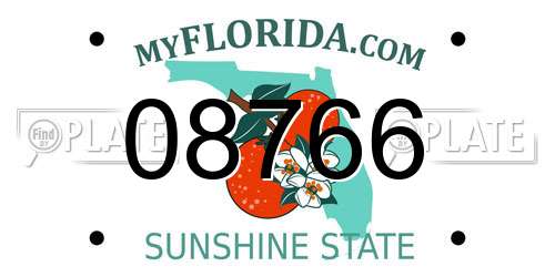08766 Florida License Plate