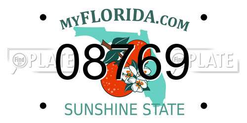 08769 Florida License Plate