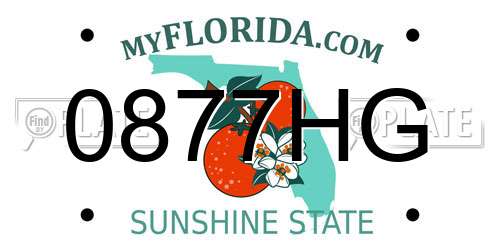 0877HG Florida License Plate