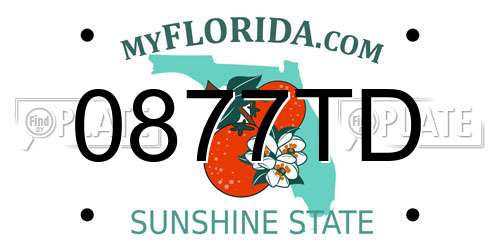0877TD Florida License Plate