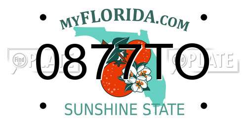 0877TO Florida License Plate