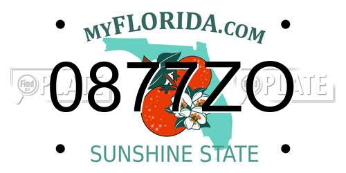 0877ZO Florida License Plate