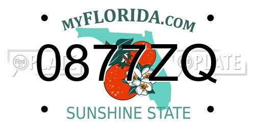 0877ZQ Florida License Plate
