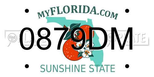 0879DM Florida License Plate