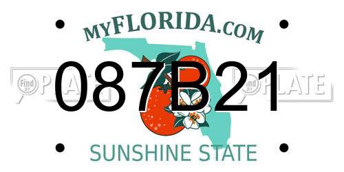 087B21 Florida License Plate