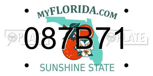 087B71 Florida License Plate