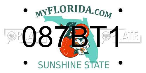 087BT1 Florida License Plate