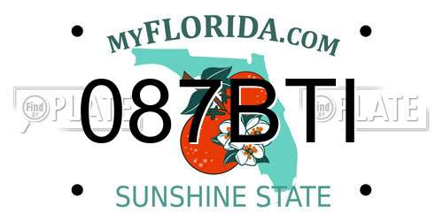 087BTI Florida License Plate