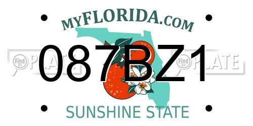 087BZ1 Florida License Plate