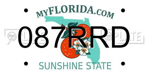 087RRD Florida License Plate
