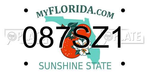 087SZ1 Florida License Plate