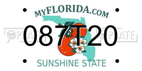 087T20 Florida License Plate