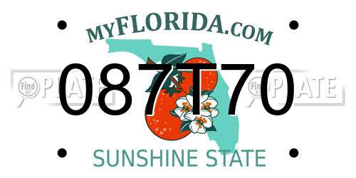 087T70 Florida License Plate