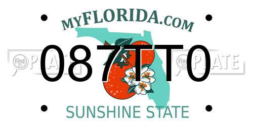 087TT0 Florida License Plate