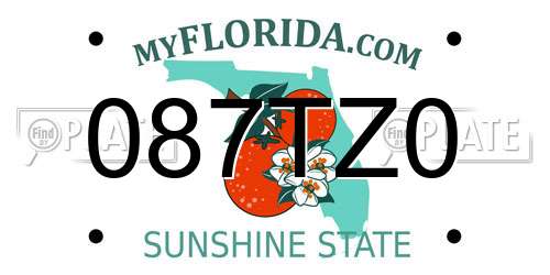 087TZ0 Florida License Plate