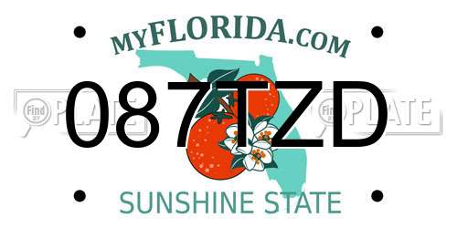 087TZD Florida License Plate