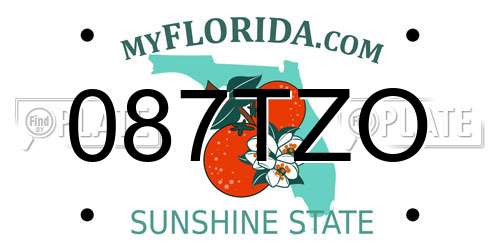 087TZO Florida License Plate