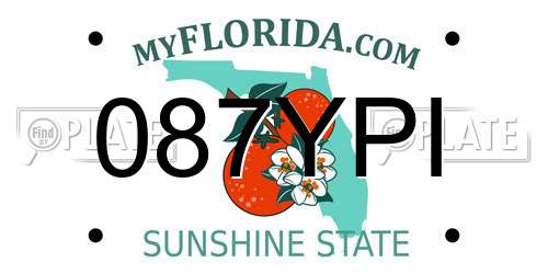 087YPI Florida License Plate