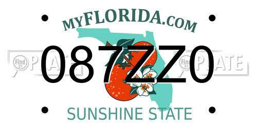 087ZZ0 Florida License Plate