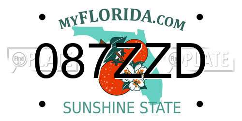 087ZZD Florida License Plate