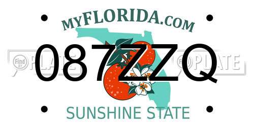 087ZZQ Florida License Plate