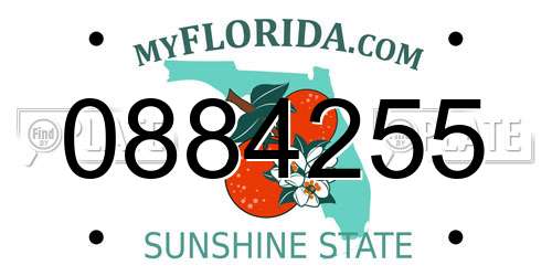 0884255 Florida License Plate