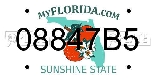 08847B5 Florida License Plate