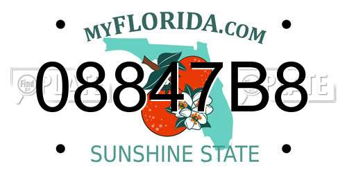 08847B8 Florida License Plate