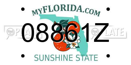 08861Z Florida License Plate