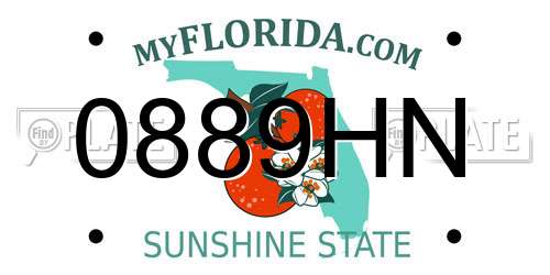 0889HN Florida License Plate
