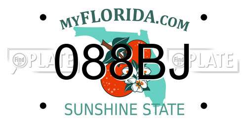 088BJ Florida License Plate