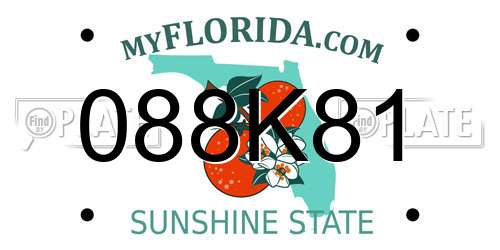 088K81 Florida License Plate