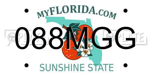 088MGG Florida License Plate