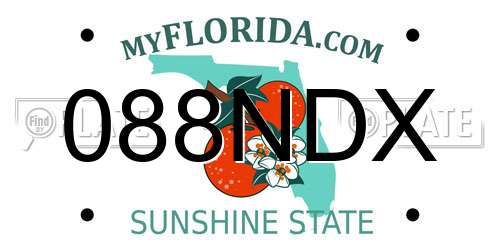 088NDX Florida License Plate