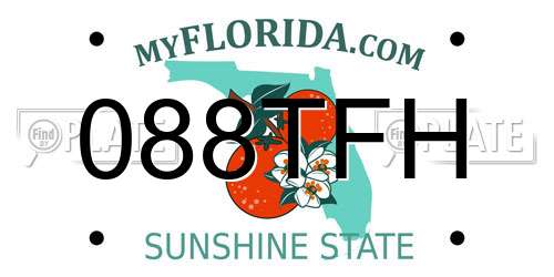 088TFH Florida License Plate