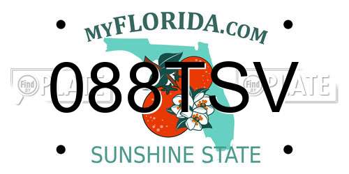 088TSV Florida License Plate