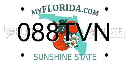 088TVN Florida License Plate