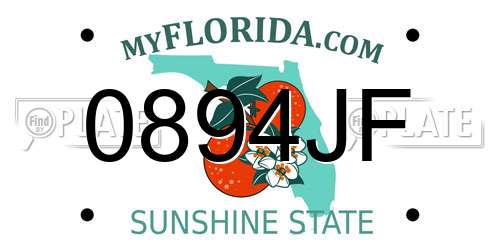 0894JF Florida License Plate