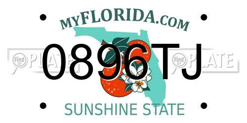 0896TJ Florida License Plate