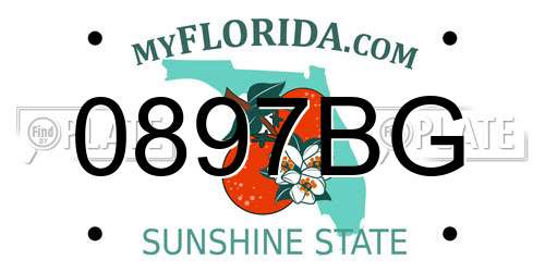 0897BG Florida License Plate
