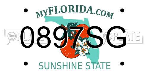 0897SG Florida License Plate
