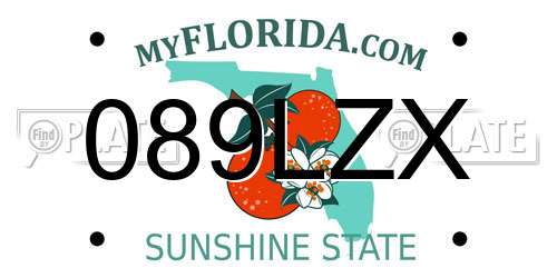 089LZX Florida License Plate