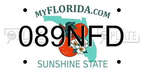 089NFD Florida License Plate