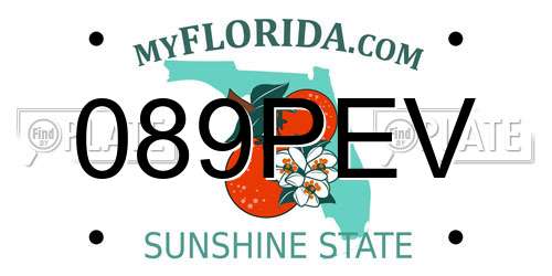 089PEV Florida License Plate