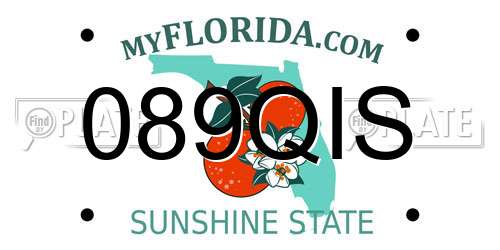 089QIS Florida License Plate