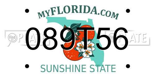 089T56 Florida License Plate
