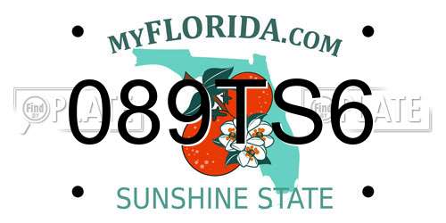 089TS6 Florida License Plate
